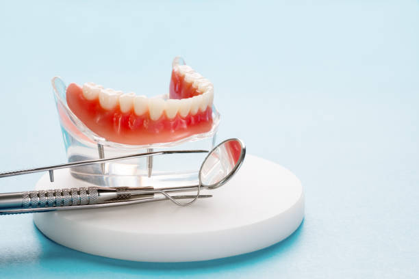 Why Choose Us for Your Dental Needs in Roaming Shores, OH